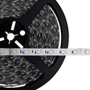 Starfish Dimension Pro 32 ft. RGBW & Tunable White Indoor LED Smart Tape Light Kit with J-Box Connection