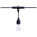 Starfish WiFI Smart LED Indoor/Outdoor 24 ft. String Lights with 12-S14 Lamps