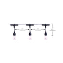 Starfish WiFI Smart LED Indoor/Outdoor 24 ft. String Lights with 12-S14 Lamps