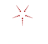 Starfish by SATCO