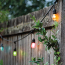 Starfish WiFI Smart LED Indoor/Outdoor 24 Ft. 10 Bulb String Lights