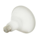 Starfish PAR38 WiFi Smart LED, 15 Watt, RGBW and Tunable White Flood Light