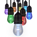 Starfish WiFI Smart LED Indoor/Outdoor 24 Ft. 10 Bulb String Lights