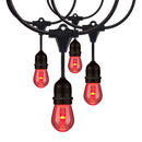 Starfish WiFI Smart LED Indoor/Outdoor 24 Ft. 10 Bulb String Lights