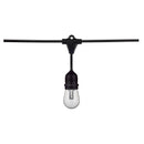 Starfish WiFI Smart LED Indoor/Outdoor 24 Ft. 10 Bulb String Lights