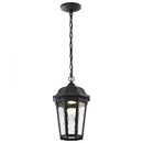 Starfish East River - Smart Outdoor Hanging Lantern - Matte Black with Clear Water Glass Finish