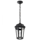Starfish East River - Smart Outdoor Hanging Lantern - Matte Black with Clear Water Glass Finish