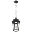 Starfish East River - Smart Outdoor Hanging Lantern - Matte Black with Clear Water Glass Finish
