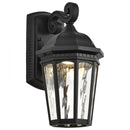 Starfish East River - Smart Outdoor Small Wall Fixture - Matte Black with Clear Water Glass Finish