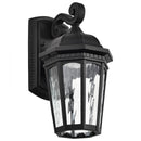 Starfish East River - Smart Outdoor Small Wall Fixture - Matte Black with Clear Water Glass Finish