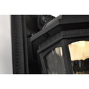 Starfish East River - Smart Outdoor Small Wall Fixture - Matte Black with Clear Water Glass Finish