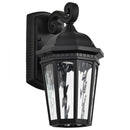 Starfish East River - Smart Outdoor Small Wall Fixture - Matte Black with Clear Water Glass Finish