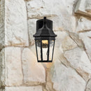 Starfish East River - Smart Outdoor Small Wall Fixture - Matte Black with Clear Water Glass Finish