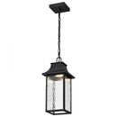 Starfish Austen River - Smart Outdoor Hanging Lantern - Matte Black with Clear Water Glass Finish