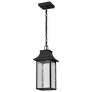 Starfish Austen River - Smart Outdoor Hanging Lantern - Matte Black with Clear Water Glass Finish