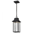 Starfish Austen River - Smart Outdoor Hanging Lantern - Matte Black with Clear Water Glass Finish