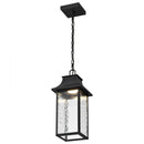 Starfish Austen River - Smart Outdoor Hanging Lantern - Matte Black with Clear Water Glass Finish