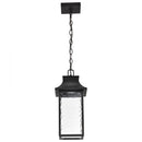 Starfish Austen River - Smart Outdoor Hanging Lantern - Matte Black with Clear Water Glass Finish