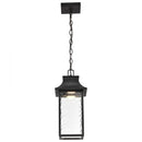 Starfish Austen River - Smart Outdoor Hanging Lantern - Matte Black with Clear Water Glass Finish