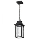 Starfish Austen River - Smart Outdoor Hanging Lantern - Matte Black with Clear Water Glass Finish