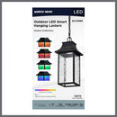 Starfish Austen River - Smart Outdoor Hanging Lantern - Matte Black with Clear Water Glass Finish