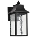 Starfish Austen River - Smart Outdoor Small Wall Fixture - Matte Black with Clear Water Glass Finish