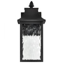 Starfish Austen River - Smart Outdoor Small Wall Fixture - Matte Black with Clear Water Glass Finish