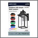 Starfish Austen River - Smart Outdoor Small Wall Fixture - Matte Black with Clear Water Glass Finish