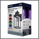 Starfish Austen River - Smart Outdoor Small Wall Fixture - Matte Black with Clear Water Glass Finish