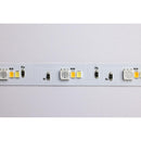 Starfish Dimension Plus 16 ft. RGBW & Tunable White Indoor LED Smart Tape Light Kit with J-Box Connection