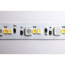 Starfish Dimension Pro 32 ft. RGBW & Tunable White Indoor LED Smart Tape Light Kit with J-Box Connection