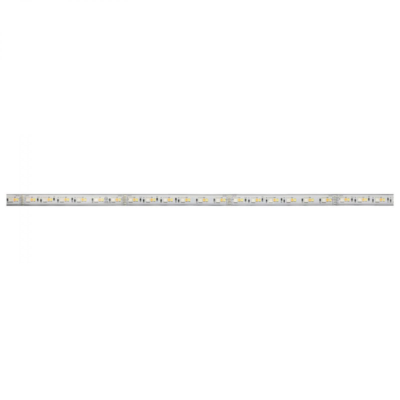 Starfish Dimension Pro 16 ft. RGBW & Tunable White Outdoor LED Smart Tape Light Kit with Plug Connection