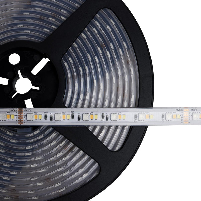 Starfish Dimension Pro 32 ft. RGBW & Tunable White Outdoor LED Smart Tape Light Kit with Plug Connection