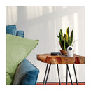 Starfish Indoor SMART Pan & Tilt Camera