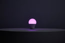 Starfish A19 WiFi Smart LED, 10 Watt, E26 RGBTW Light Bulb