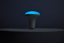 Starfish BR40 WiFi Smart LED, 12 Watt, E26 RGBTW Light Bulb