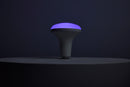 Starfish BR40 WiFi Smart LED, 12 Watt, E26 RGBTW Light Bulb