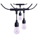 Starfish WiFI Smart LED Indoor/Outdoor 24 ft. String Lights with 12-S14 Lamps