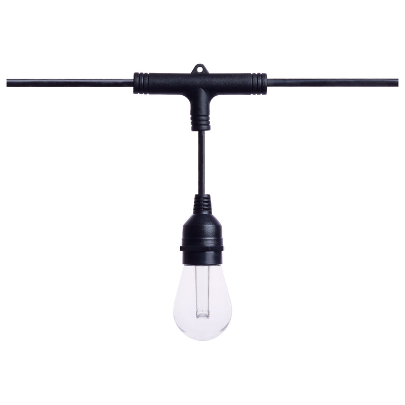 Starfish WiFI Smart LED Indoor/Outdoor 24 ft. String Lights with 12-S14 Lamps