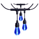 Starfish WiFI Smart LED Indoor/Outdoor 24 ft. String Lights with 12-S14 Lamps