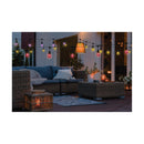 Starfish WiFI Smart LED Indoor/Outdoor 24 ft. String Lights with 12-S14 Lamps