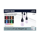 Starfish WiFI Smart LED Indoor/Outdoor 24 ft. String Lights with 12-S14 Lamps