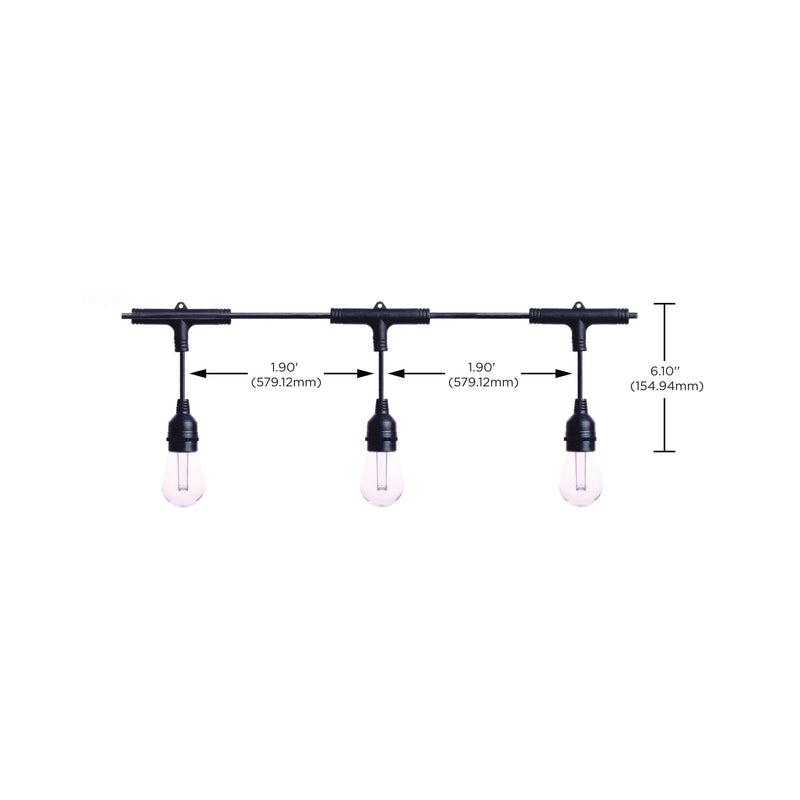 Starfish WiFI Smart LED Indoor/Outdoor 24 ft. String Lights with 12-S14 Lamps