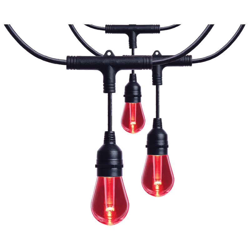 Starfish WiFI Smart LED Indoor/Outdoor 48 ft. String Lights with 15-S14 Lamps