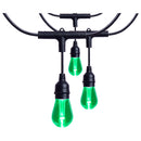 Starfish WiFI Smart LED Indoor/Outdoor 48 ft. String Lights with 15-S14 Lamps