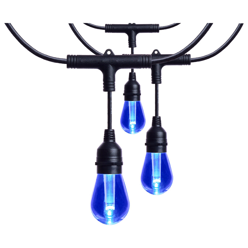 Starfish WiFI Smart LED Indoor/Outdoor 48 ft. String Lights with 15-S14 Lamps
