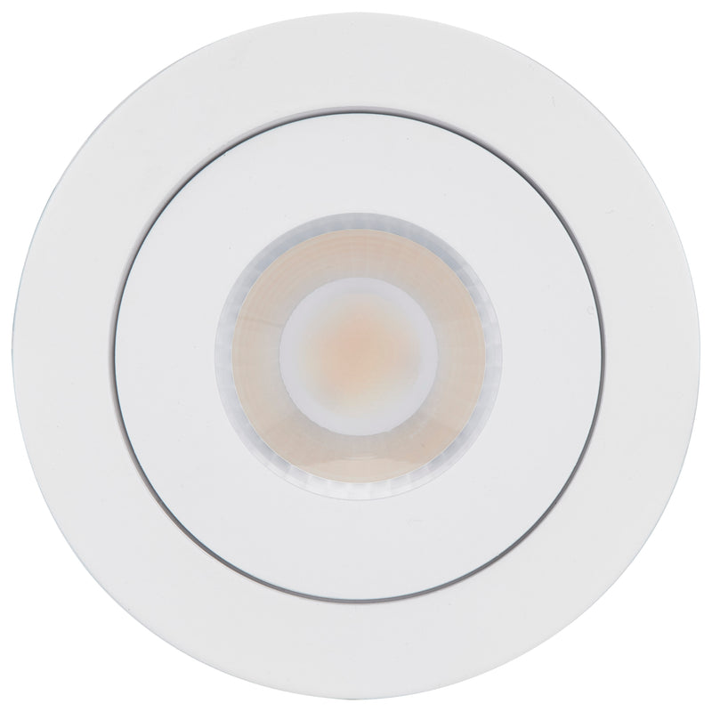 LED Smart Directional Downlight - 4" White