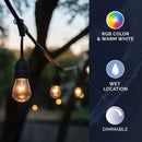 Starfish WiFI Smart LED Indoor/Outdoor 24 Ft. 10 Bulb String Lights