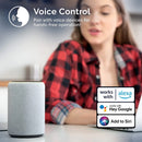 Starfish WiFI Smart LED Indoor/Outdoor 24 Ft. 10 Bulb String Lights