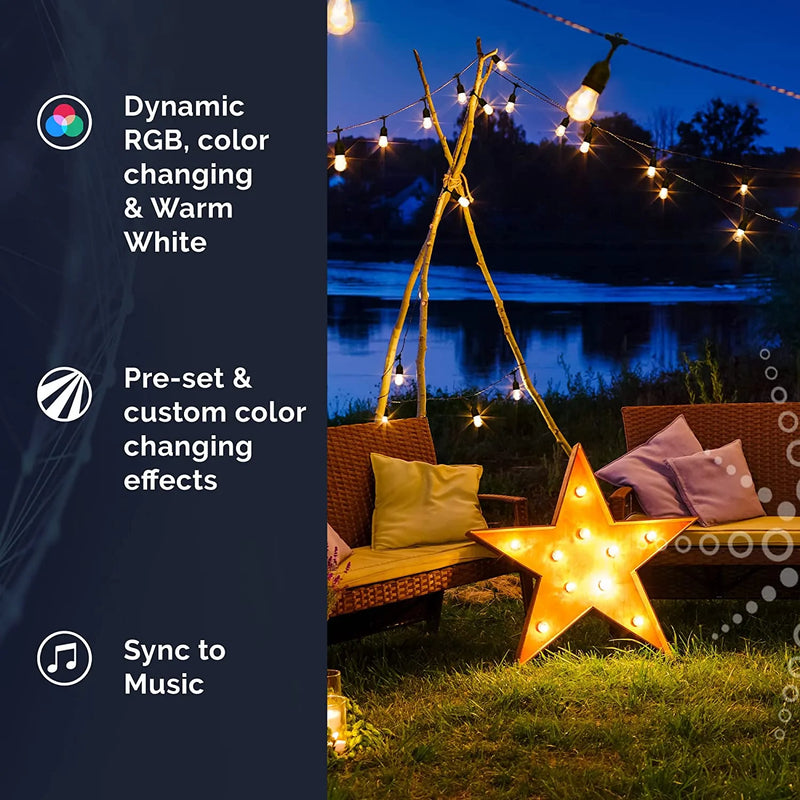 Starfish WiFI Smart LED Indoor/Outdoor 24 Ft. 10 Bulb String Lights